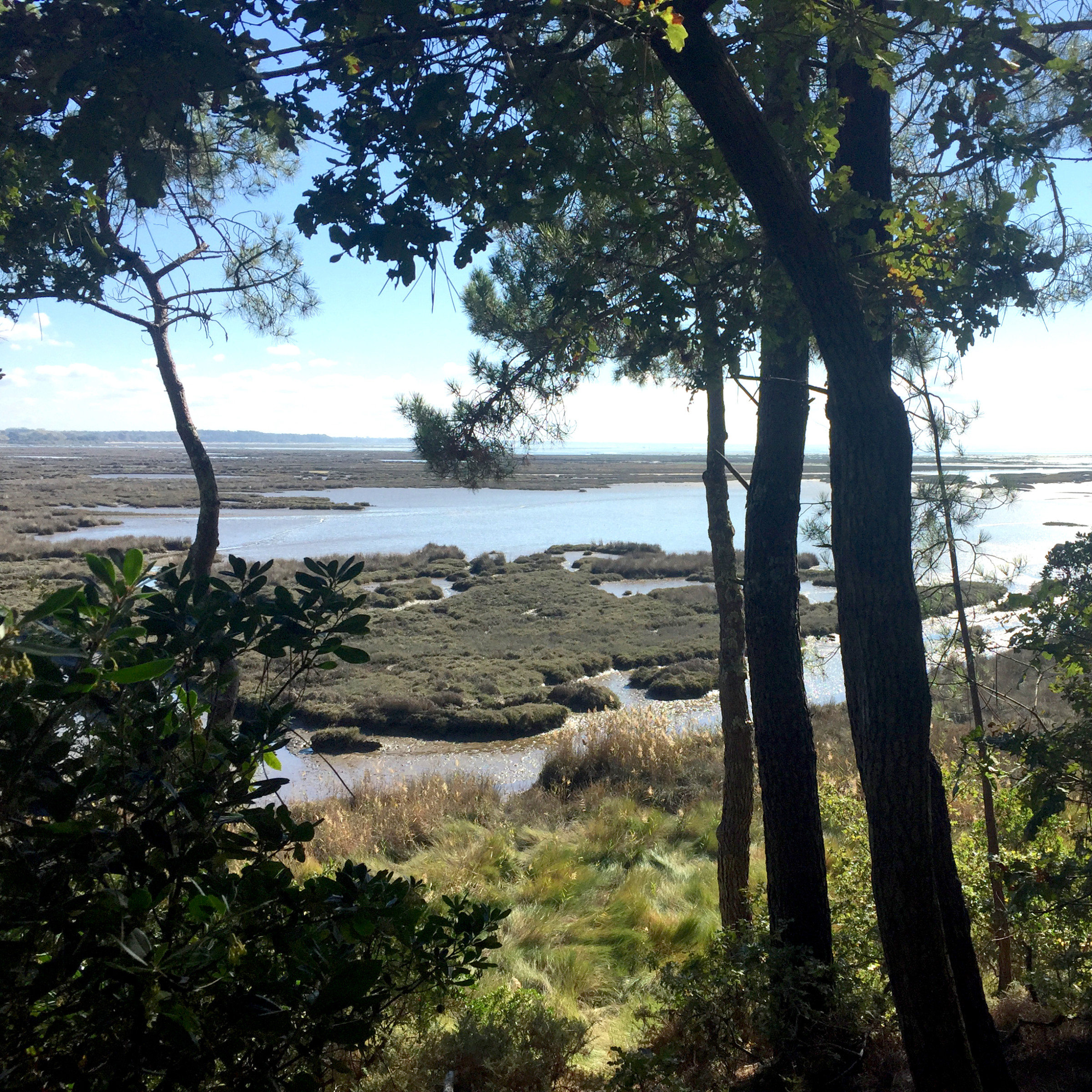 Home: Cap Ferret (Thumbnail)