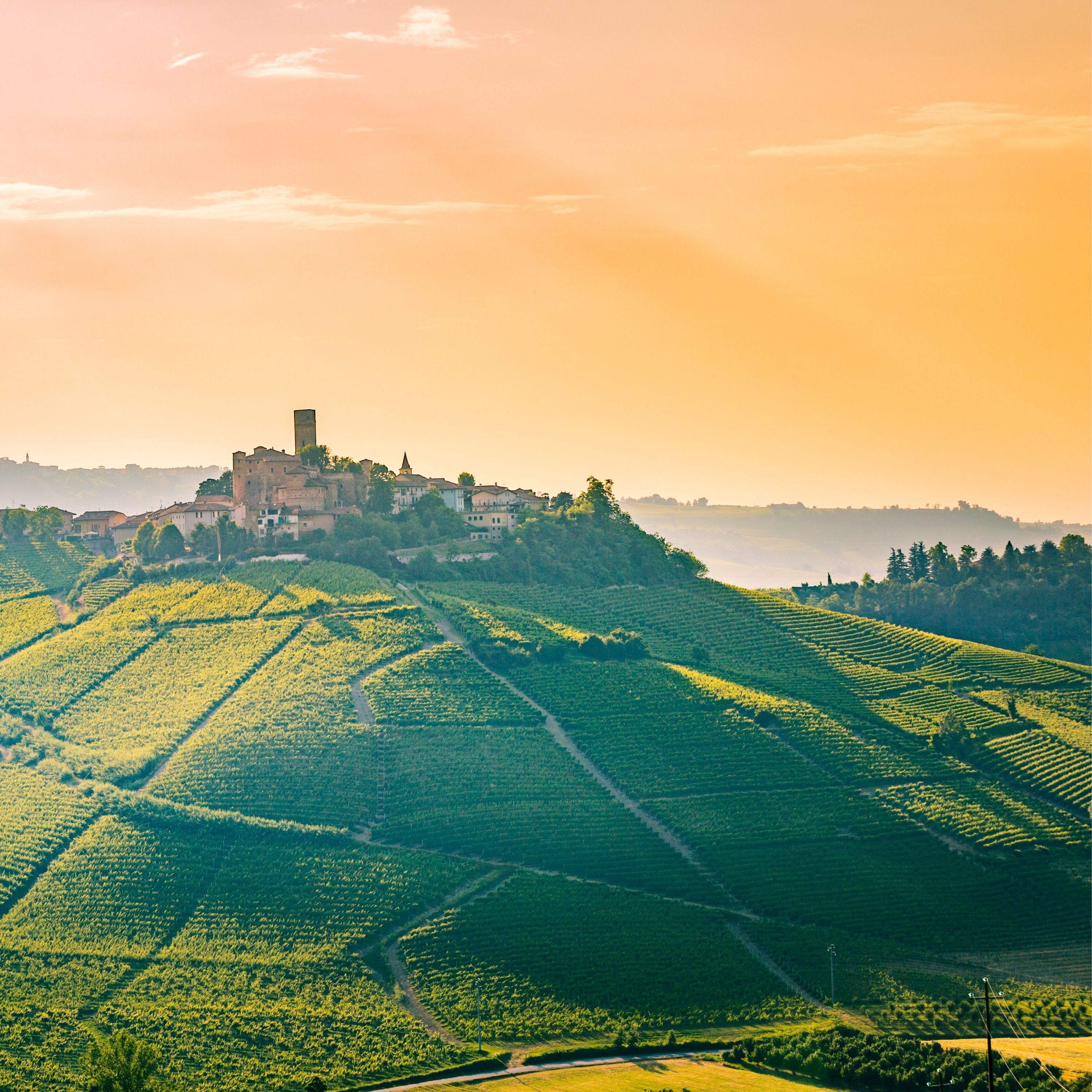 Home: Langhe & Monferrato (Thumbnail)