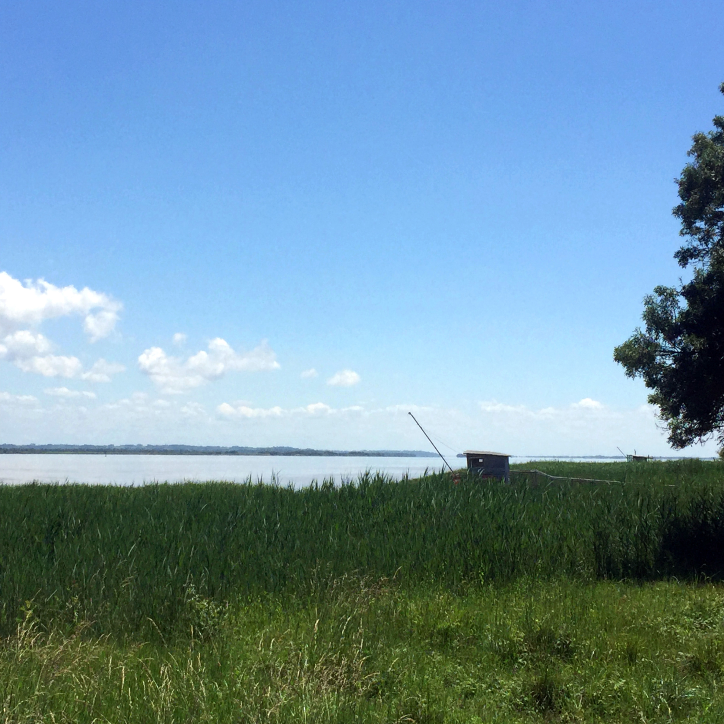 Guiding Architects, destination: Libournais & Médoc (Fig. 6)