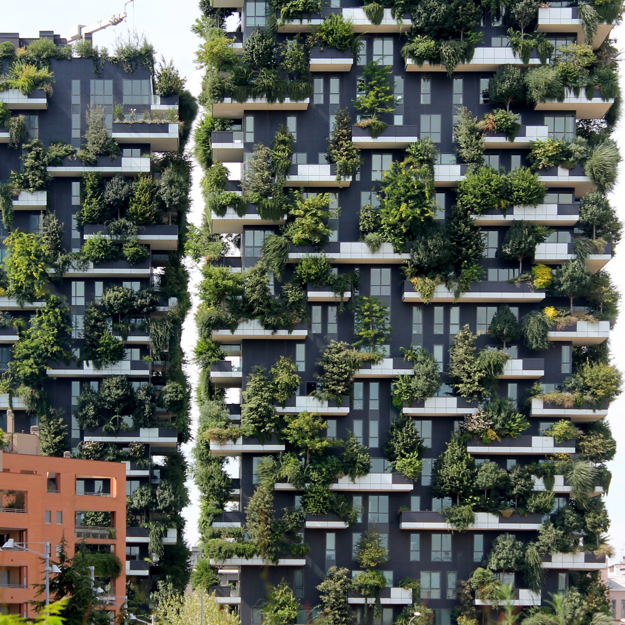Guiding Architects, destination: Milan (Fig. 2)