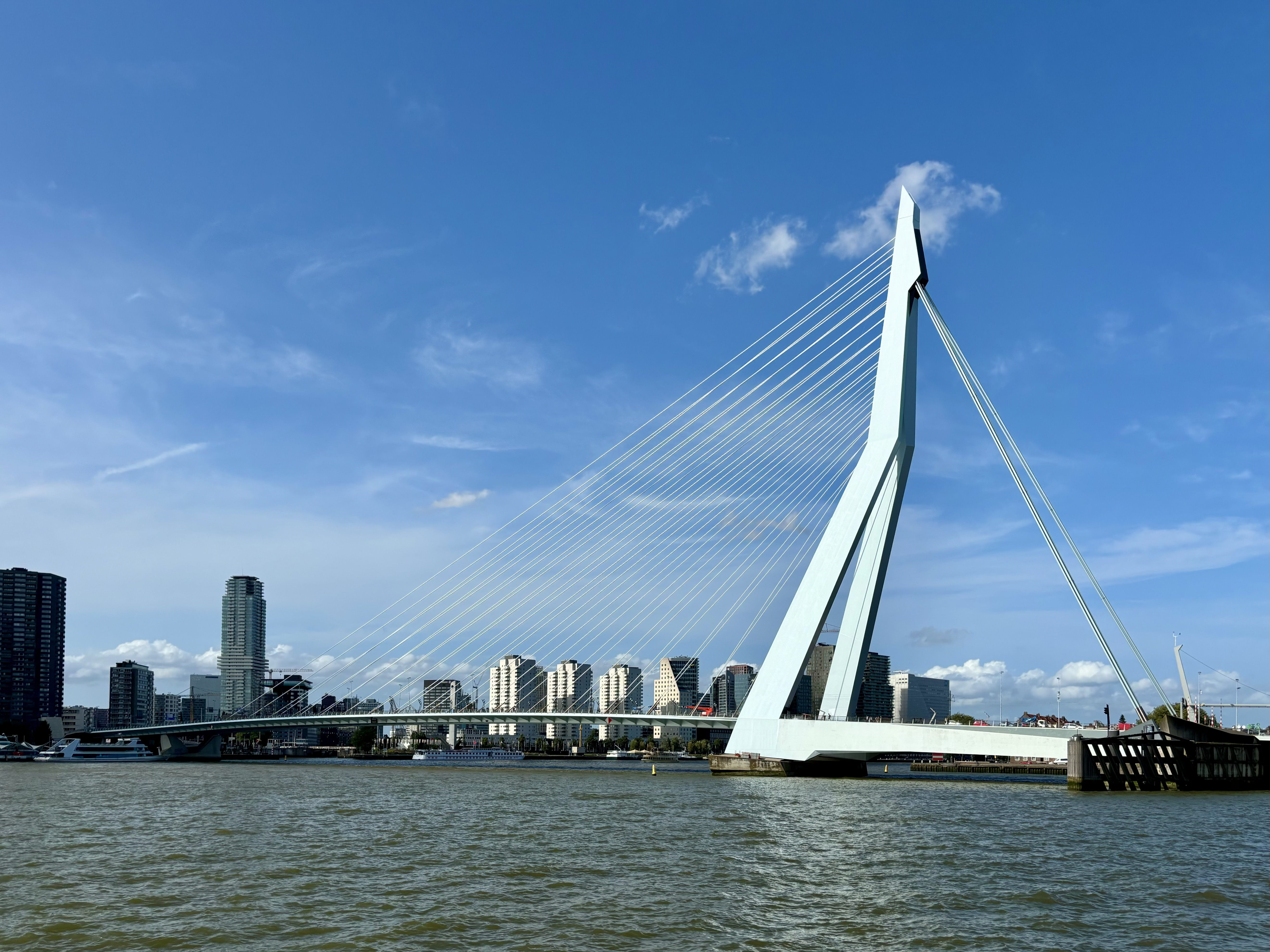 Home: Rotterdam (Thumbnail)