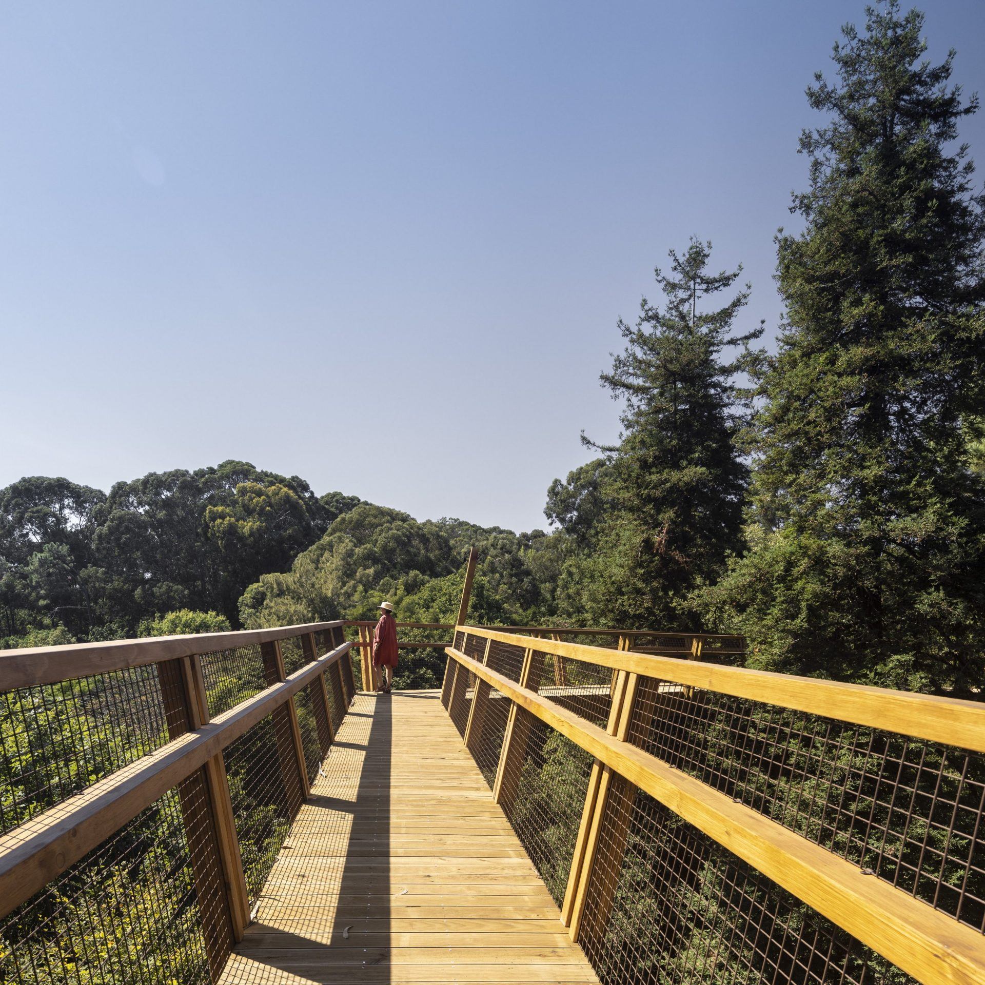 Guiding Architects, article: Serralves: Casa del Cine Manoel de Oliveira y Treetop Walk (Fig. 2)
