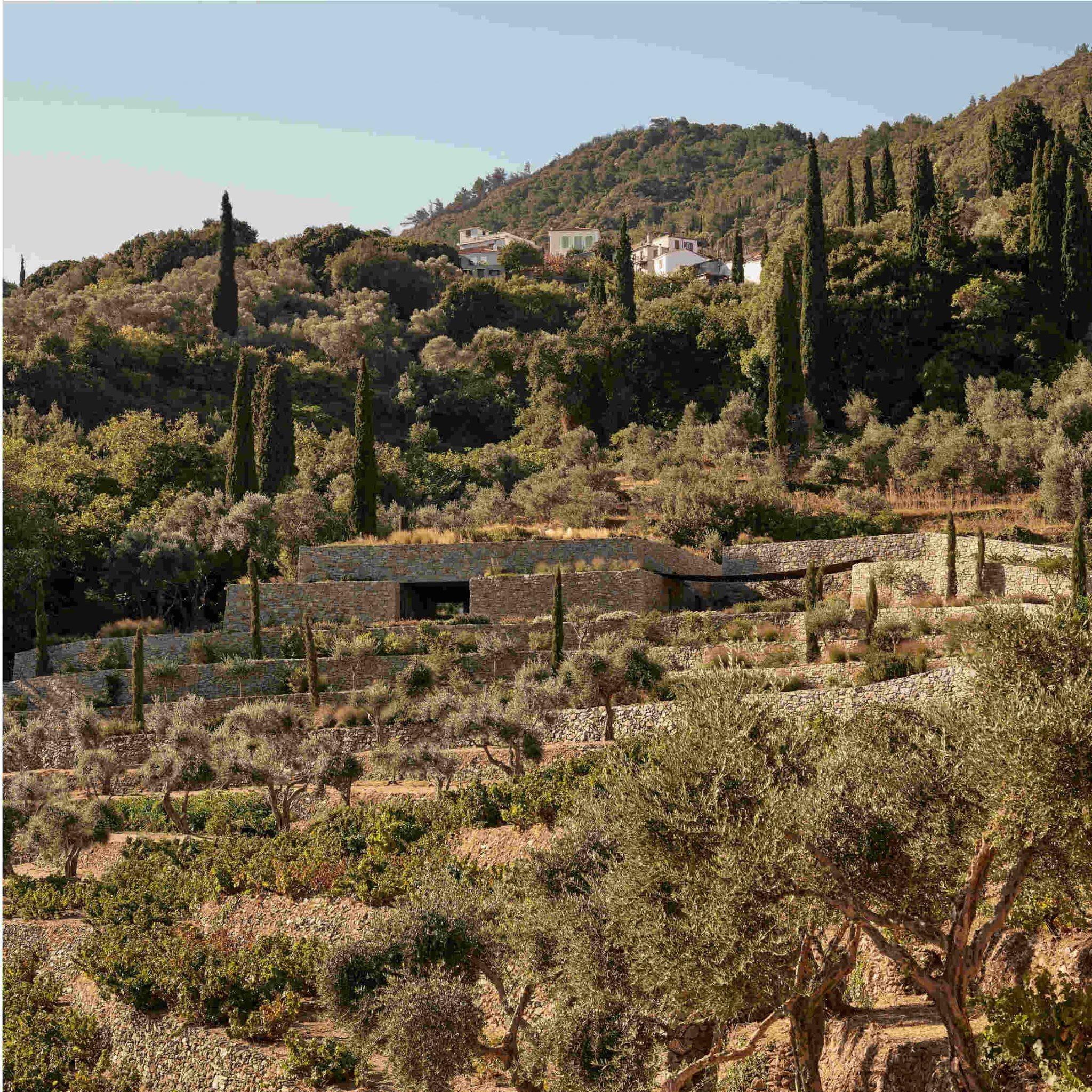 Guiding Architects, article-oaa: Out & About: LIKNON, The Home of METAXA (Fig. 2)