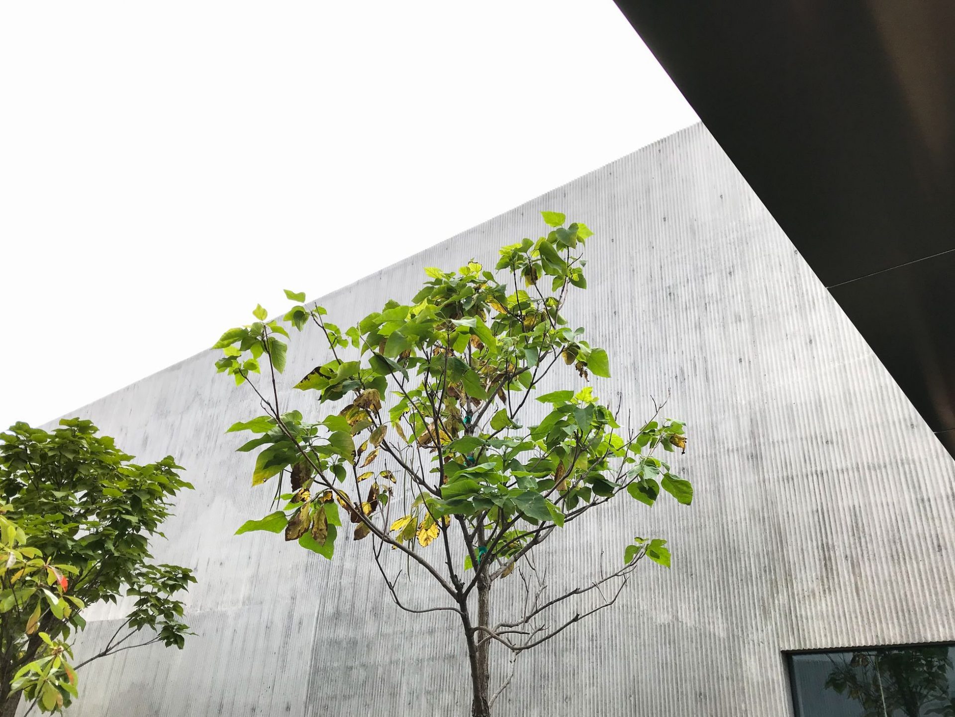 Guiding Architects, article: Amant Art Foundation par SO – IL – Un joyau architectural dans le Brooklyn industriel (Fig. 6)