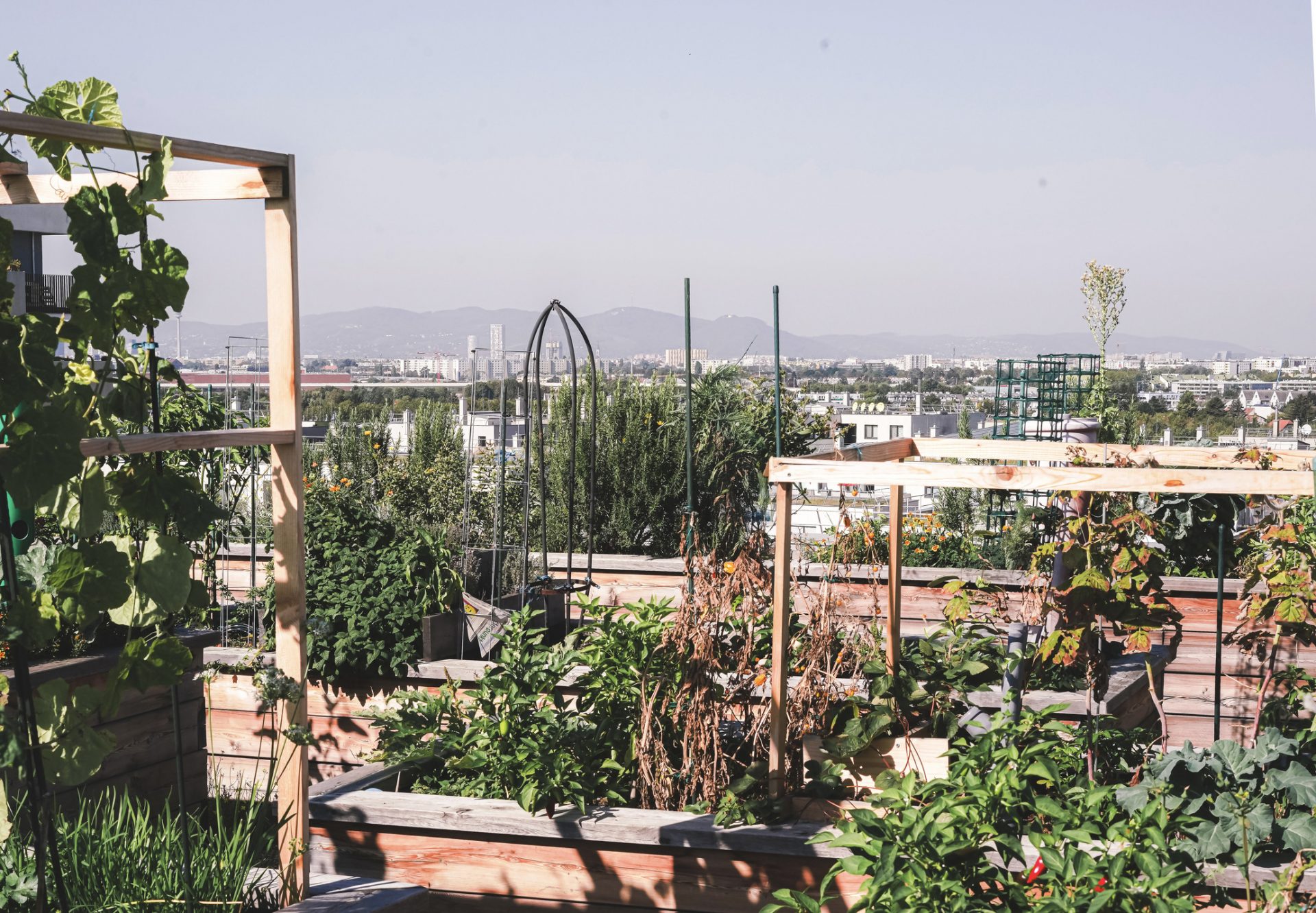 Guiding Architects, article: Une ville réimaginée : Seestadt Aspern Vienna – intégration de la dimension de genre dans la planification urbaine (Fig. 5)