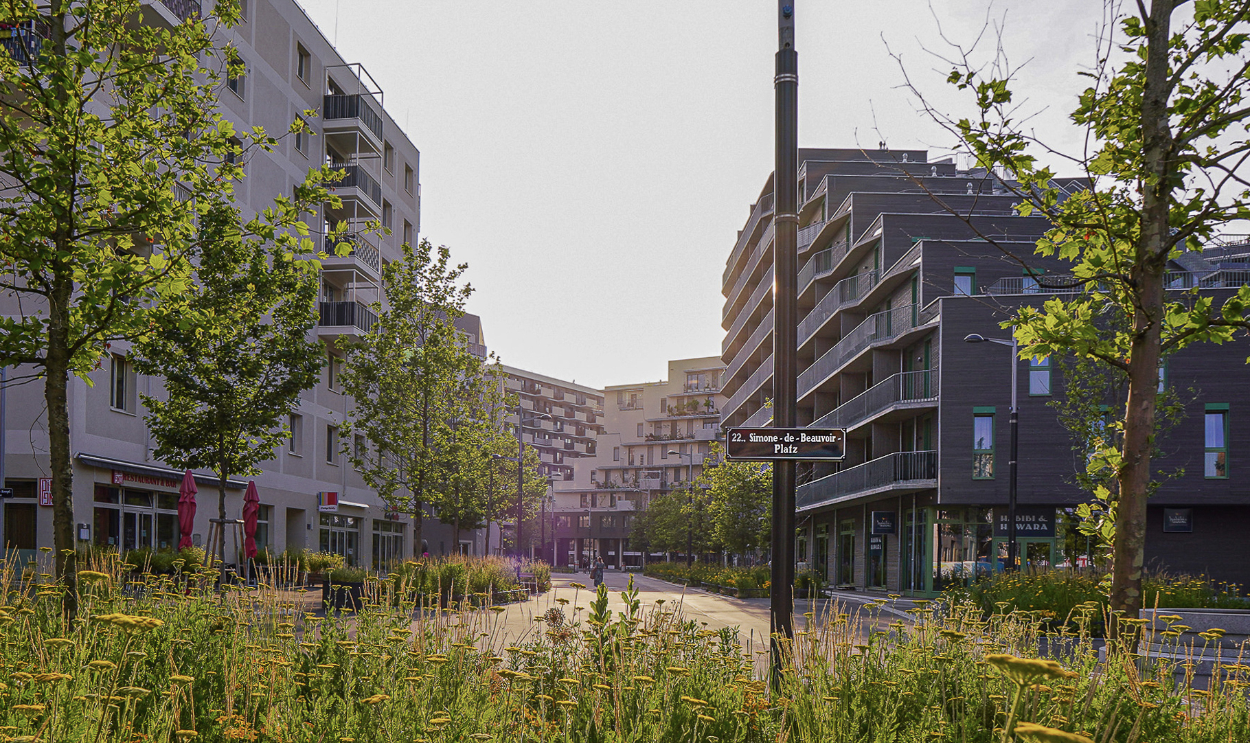 Guiding Architects, article: Une ville réimaginée : Seestadt Aspern Vienna – intégration de la dimension de genre dans la planification urbaine (Fig. 2)
