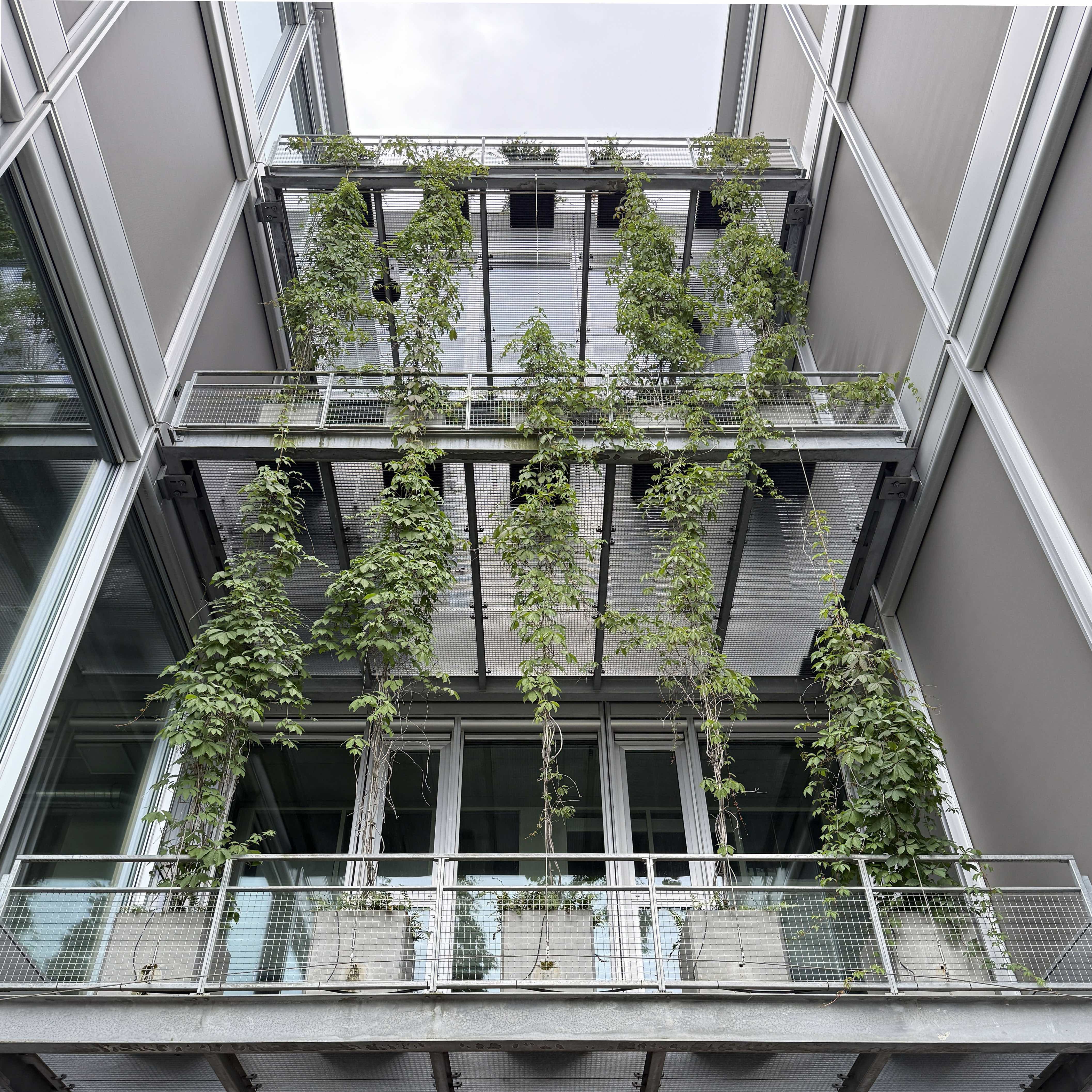 Guiding Architects, tour: Zürich: Genossenschaftlicher Wohnungsbau (Fig. 5)