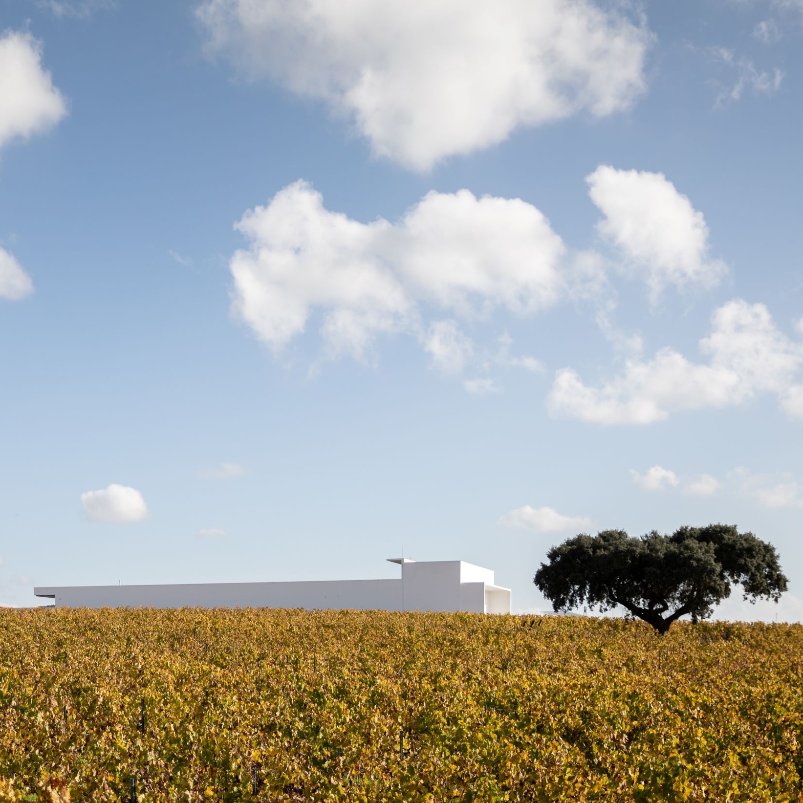Tour: Évora in the Alentejo (Thumbnail)