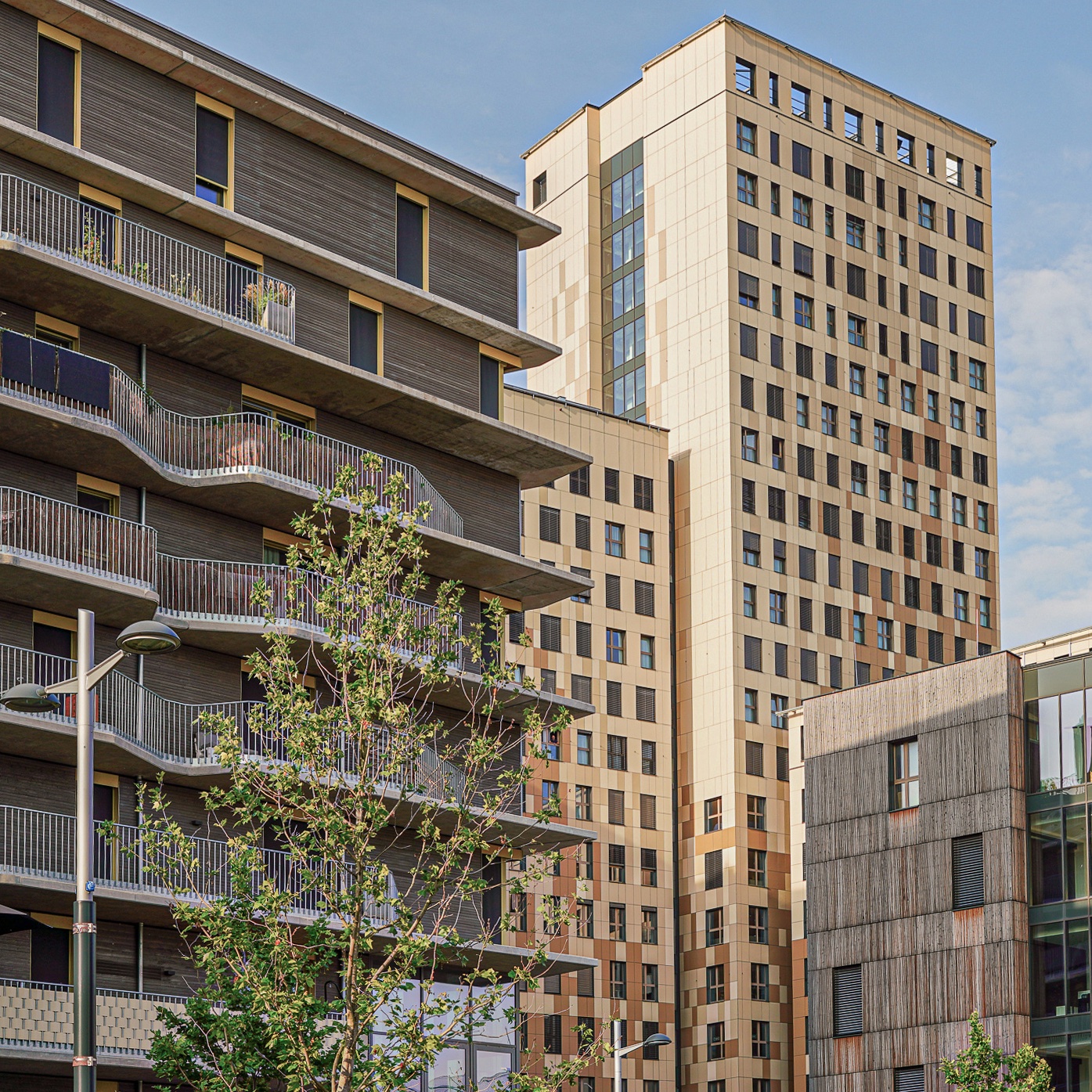 Guiding Architects, tour: Seestadt Aspern – eine Stadt in der Stadt (Fig. 5)