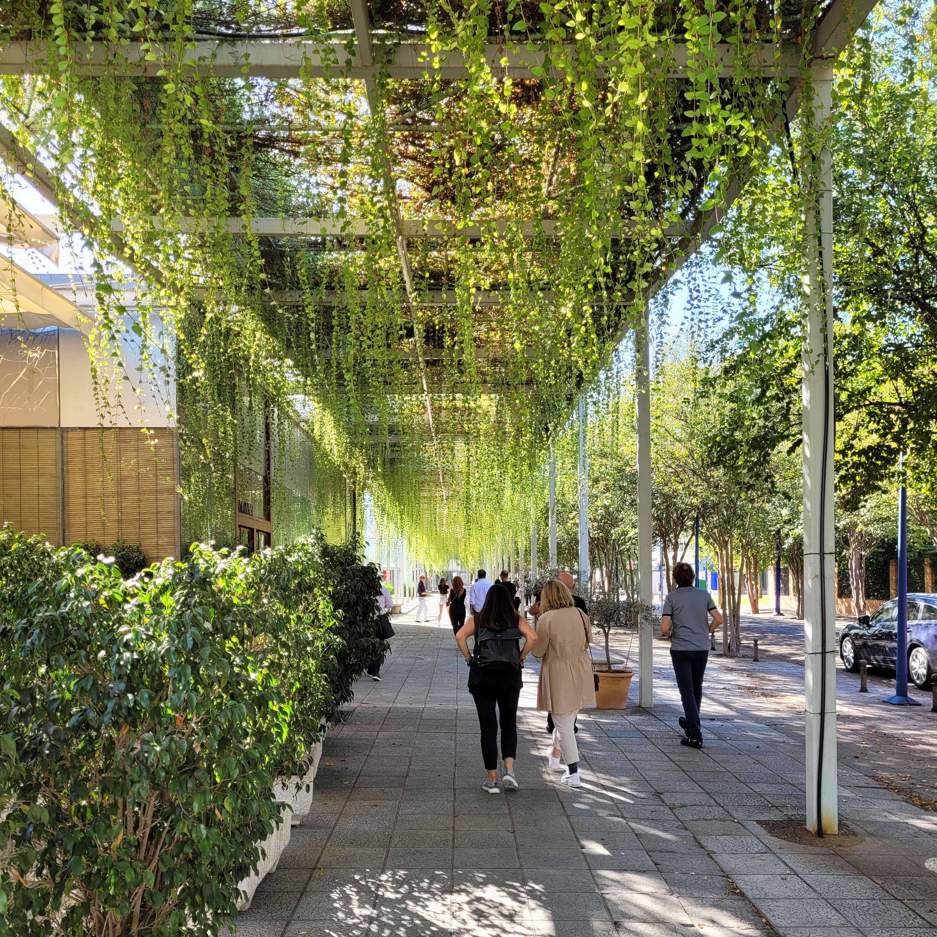 Tour: Urban Perspectives in Seville (Thumbnail)